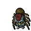 Cave Tarantula mount