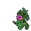 Peony mount