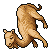 Dromedary